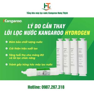 Thay Lõi Lọc Định Kỳ Máy Kangaroo Hydrogen
